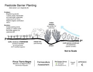 Finca Tierra Negra Pesticide Barrier Planting
