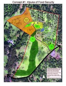 Mauna Kea farms landscape design blueprint.