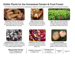 Plant palette for Mauna Kea Farms landscape design.