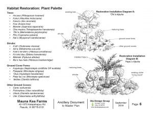 Final landscape Design for Mauna Kea Farms.