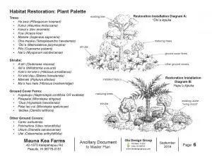 Final landscape Design for Mauna Kea Farms.