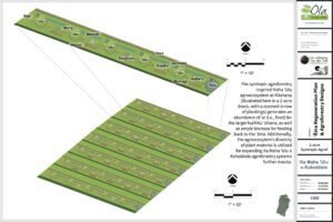 Agricultural master plan