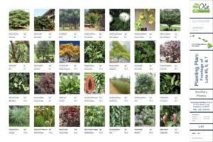 Agricultural and commercial landscape design.