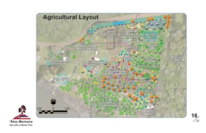 Aina Momona agricultural master plan