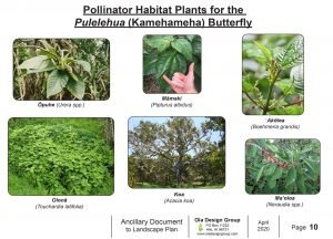 Pollinator habitat plant palette.