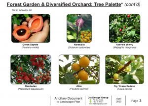 Listing of plants for a forest garden and diversified orchard.