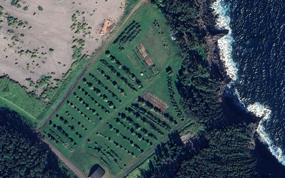 huiMAU Agricultural Master Plan