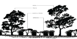 Tree plantings