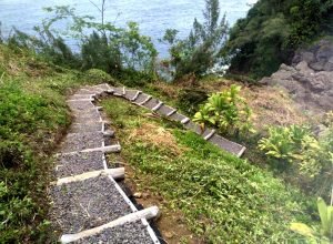 downward view of stairwell made of logs and gravel winding up a hill overlooking the ocean