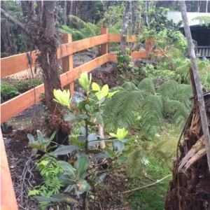 Residential Design Fence