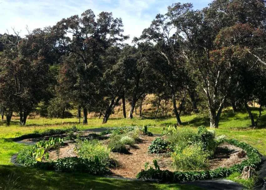 Ecological Landscape Installation