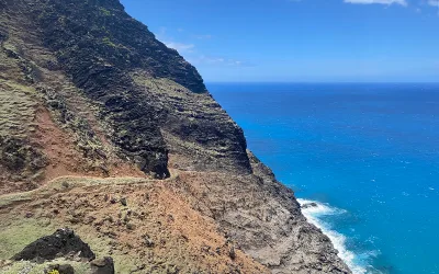 How to Select Plants for Slope Stabilization