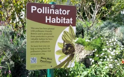 How to Create Pollinator Habitats
