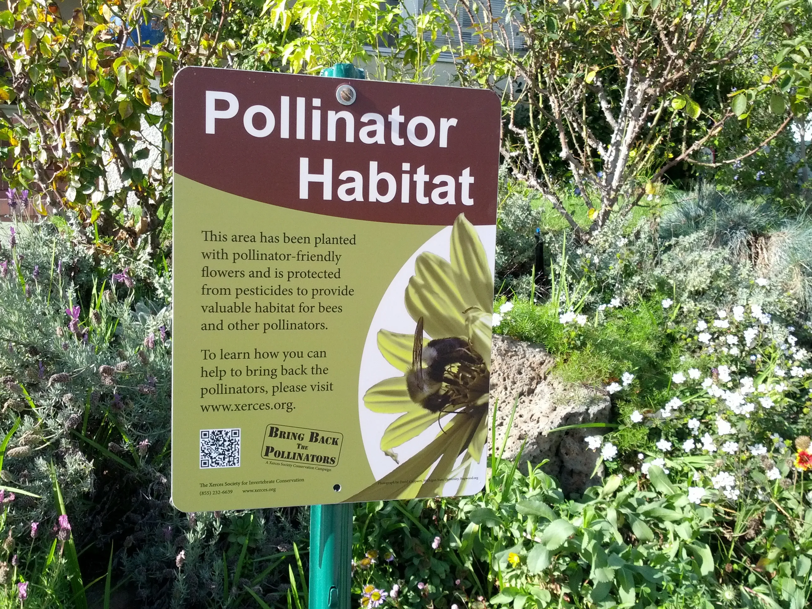 pollinator habitat sign