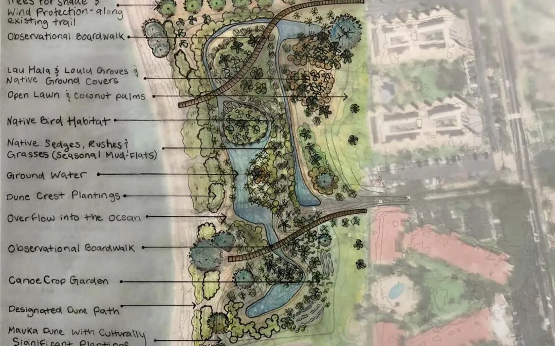 Wetland Restoration