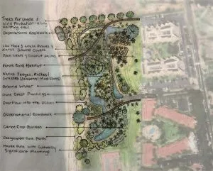 coastal wetland conceptual design