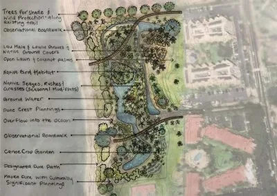 Wetland Restoration