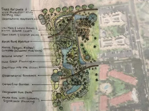 Wetland Restoration